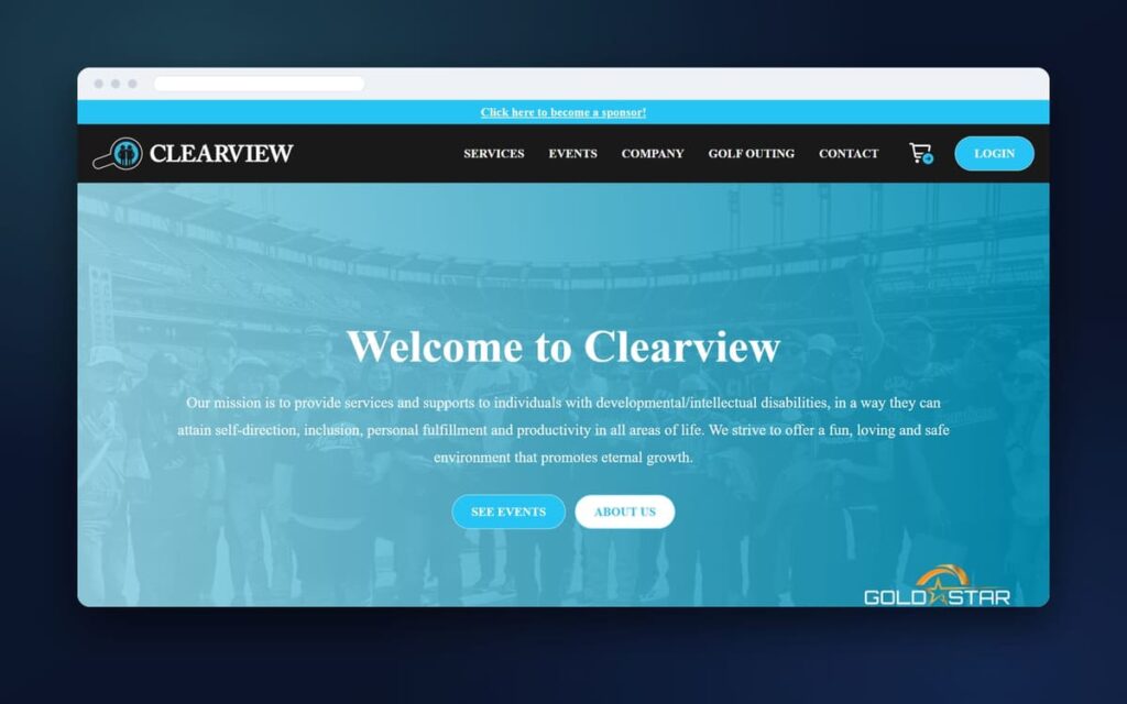 Clearviewdsi website